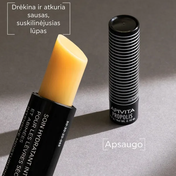APIVITA lūpų pieštukas su propoliu 4.4g