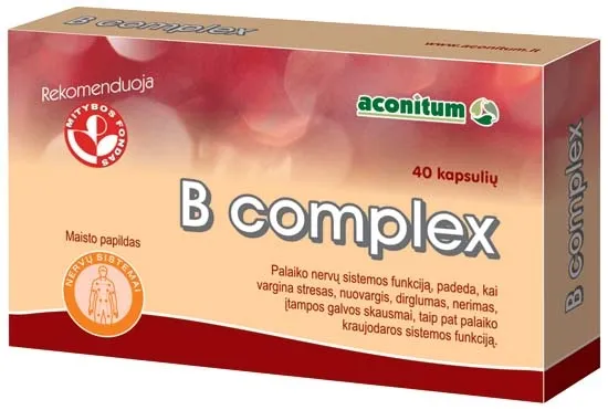 Maisto papildas B COMPLEX N40