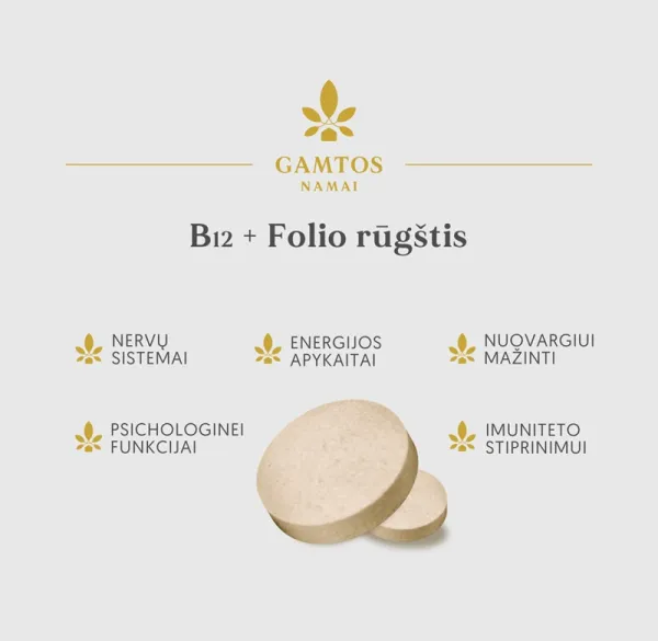 Maisto papildas GAMTOS NAMAI B12 + Folio rūgštis tabletės N90