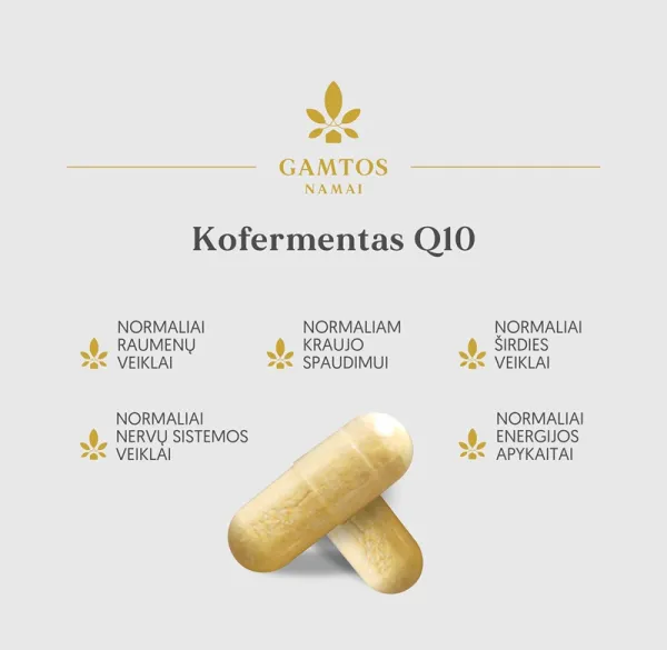 Maisto papildas GAMTOS NAMAI Kofermentas Q10 kapsulės N60