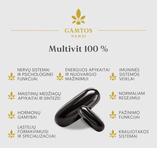 Maisto papildas GAMTOS NAMAI Multivit 100% kapsulės N120