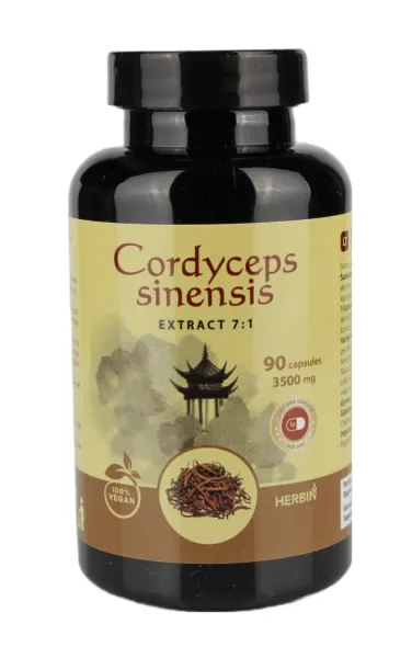 Maisto papildas HERBIN Kininis Kordicepsas ekstraktas N90 veganiškų kaps.