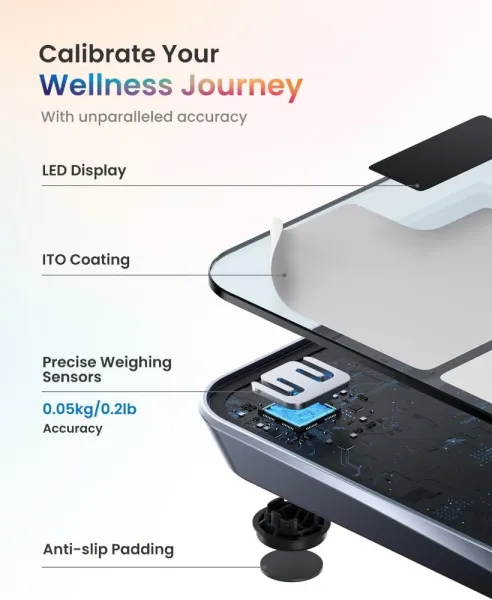 RENPHO Elis Chroma Smart Scale
