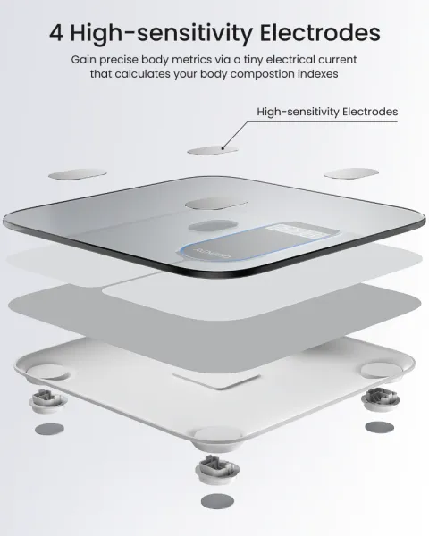 RENPHO Elis 1C Smart Body Scale White