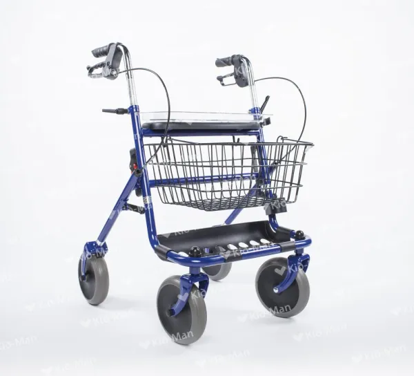 Lauko vaikštynė su 4 ratukais