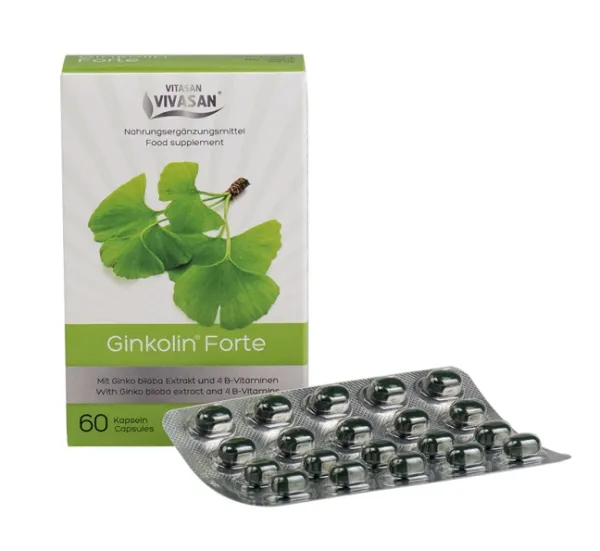 Maisto papildas GINKOLIN VIVASAN N60