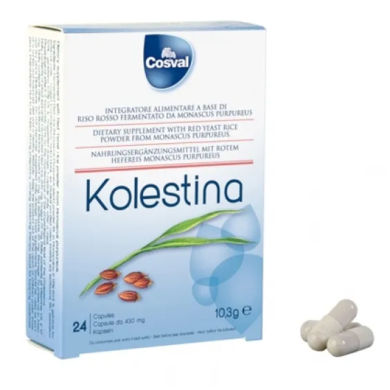 Maisto papildas KOLESTINA N24