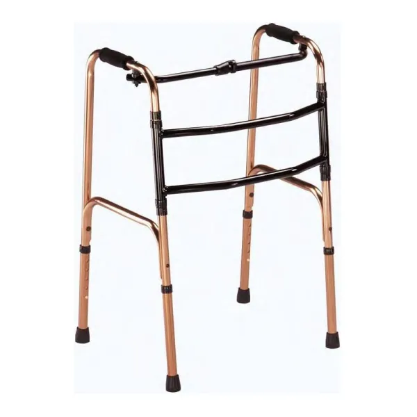 Žingsninė vaikštynė REZI