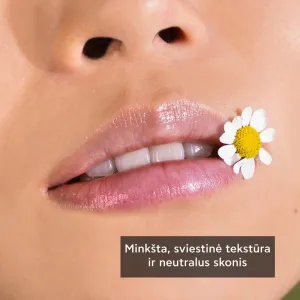 APIVITA lūpų pieštukas su ramunėlėmis SPF15 4.4g