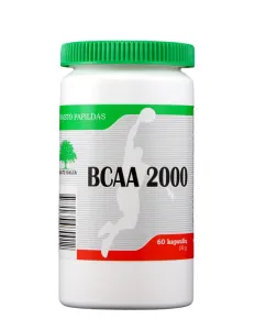 Maisto papildas BALTŲ GALIA BCAA 2000 N60