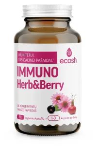 Maisto papildas ECOSH Immuno Herb&Berry kapsulės N60