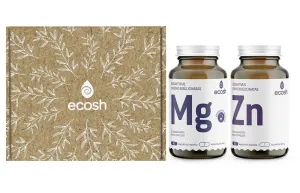 Maisto papildų ECOSH Rinkinys JAM: Bioaktyvus Magnis su vitaminu B6 N90 + Bioaktyvus Cinkas N90