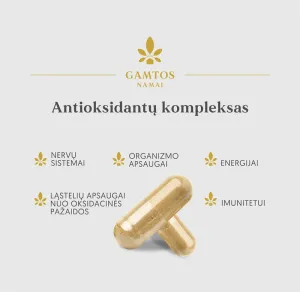 Maisto papildas GAMTOS NAMAI Antioksidantų kompleksas kapsulės N60