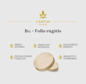 Maisto papildas GAMTOS NAMAI B12 + Folio rūgštis tabletės N90