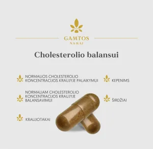 Maisto papildas GAMTOS NAMAI Cholesterolio balansui kapsulės N60