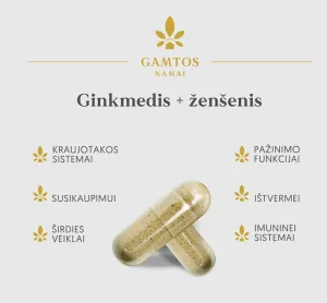 Maisto papildas GAMTOS NAMAI Ginkmedis + Ženšenis kapsulės N60