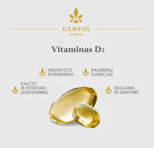 Maisto papildas GAMTOS NAMAI Vitaminas D3 2000TV minkštosios kapsulės N60
