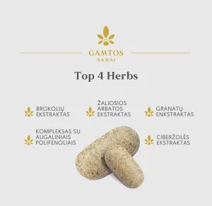 Maisto papildas GAMTOS NAMAI TOP 4 Herbs N120