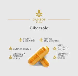 Maisto papildas GAMTOS NAMAI Ciberžolė kapsulės N60