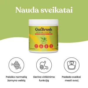 Maistinės skaidulos GutBrush Original neutralaus skonio 360g