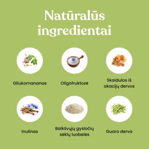 Maistinės skaidulos GutBrush Original neutralaus skonio 360g