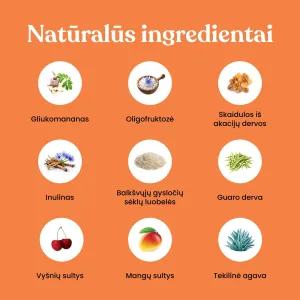 Maistinės skaidulos GutBrush mangų ir vyšnių skonio 360g