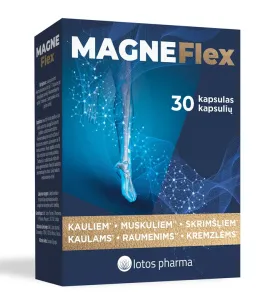Maisto papildas MAGNEFlex kapsulės N30