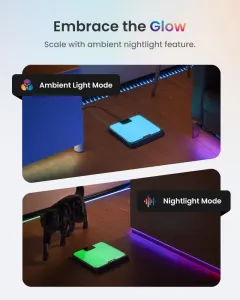 RENPHO Elis Chroma Smart Scale