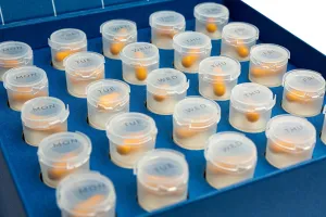 Maisto papildas NOAGE women sapphirus  (25 kapsulės ir 25 buteliukai)