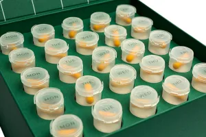 Maisto papildas NOAGE women smaragdus (25 kapsulės ir 25 buteliukai)