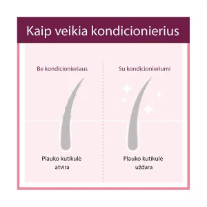 PLANTUR 21 Long Hair kondicionierius 175ml