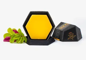 SOLIDU kietas drėkinamasis kondicionierius su erškėtrožių sėklų aliejumi SILKPOP 55g