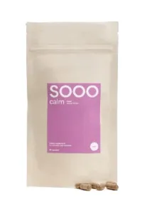 Maisto papildas SOOO calm: Reishi ekstraktas 15-18:1 350mg kapsulės N90 (papildymas)