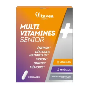 Maisto papildas VITAVEA SENIOR multivitaminai senjorams N30