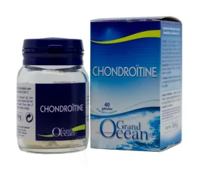 Maisto papildas Chondroitino kapsulės su natūraliais vitaminais E ir C N40