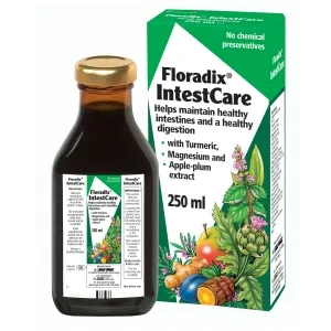 Maisto papildas FLORADIX INTESTCARE 250ml