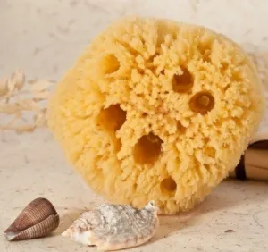 Natūralaus plaušo Viduržemio jūros kempinė (15-17 cm)