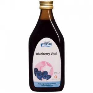 Gėrimas MĖLYNIŲ VITAL VIVASAN 250ml
