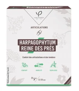 Maisto papildas Gulsčiojo inkaruočio ir vingiorykštės ekstraktai N20