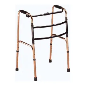 Žingsninė vaikštynė REZI